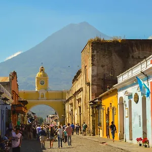 Ave Del Paraiso Antigua
